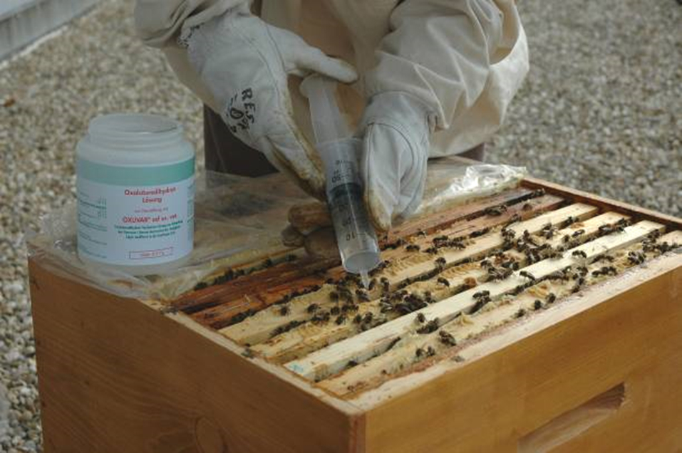 oxuvar kapání oxuvar kapání